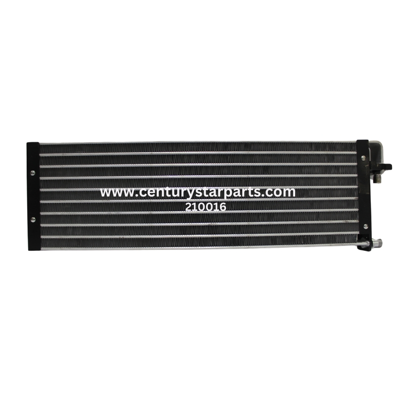 Century Star
