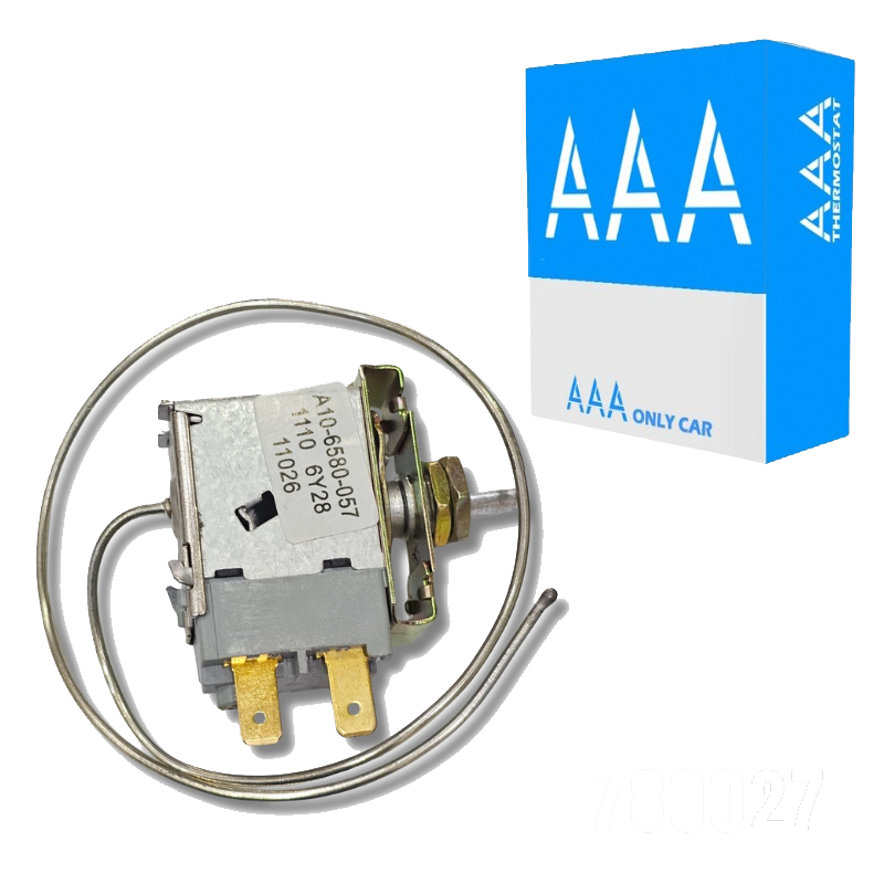 THERMOSTAT